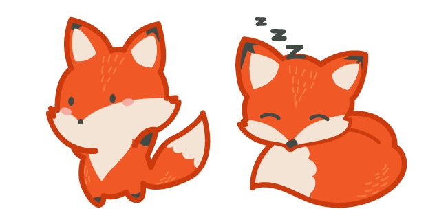 Cute Fox