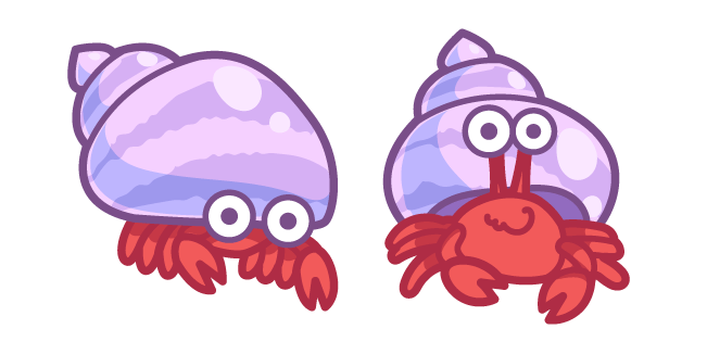 Cute Hermit Crab