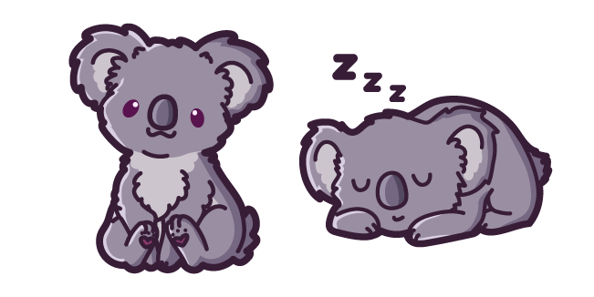 Cute Koala