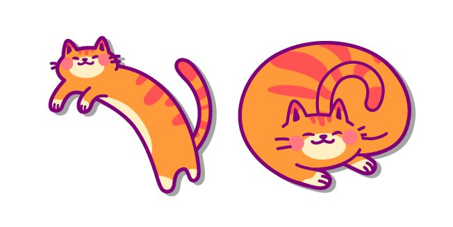 Cute Long Orange Cat