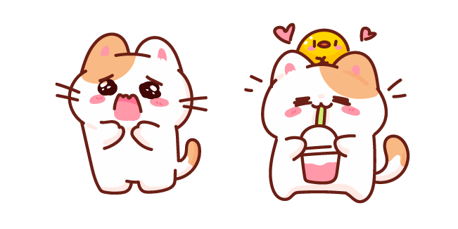 Cute Panicking and Happy Cat