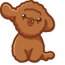 Cute Poodle Dog pointer