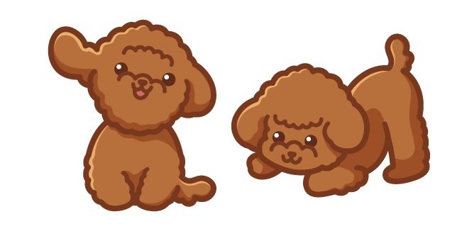 Cute Poodle Dog