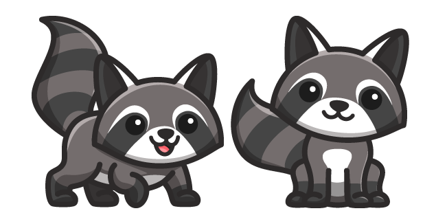 Cute Racoon