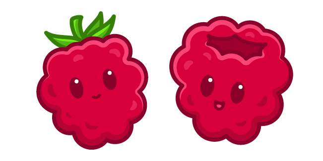 Cute Raspberry