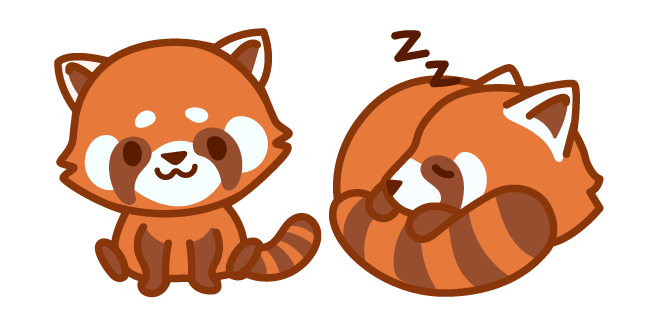 Cute Red Panda
