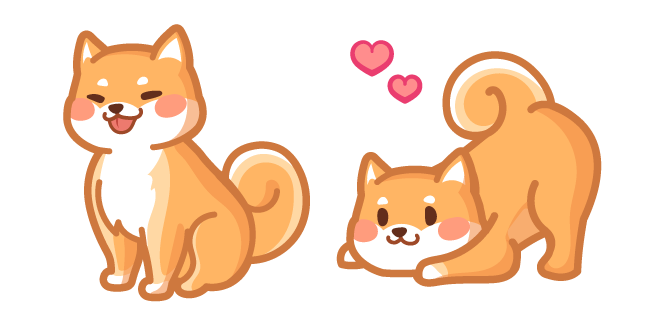 Cute Shiba Inu