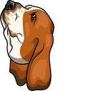 Basset Hound Dog pointer