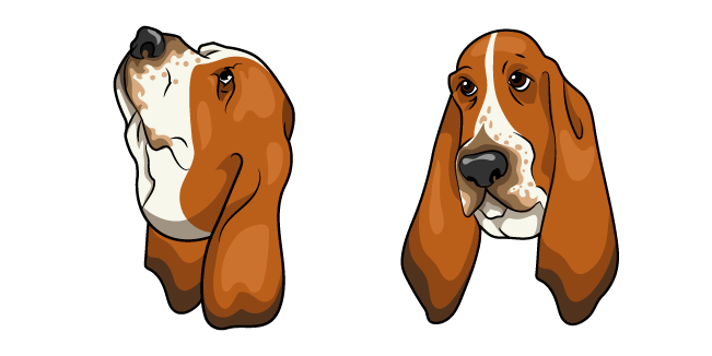 Basset Hound Dog