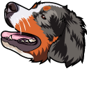 Bernese Mountain Dog pointer