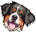 Bernese Mountain Dog cursor