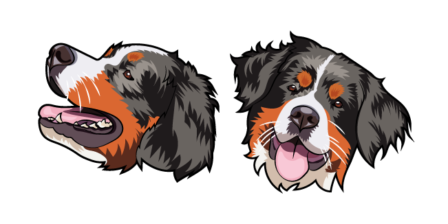 Bernese Mountain Dog