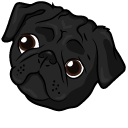 Black Pug Dog pointer