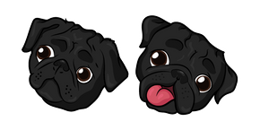 Black Pug Dog