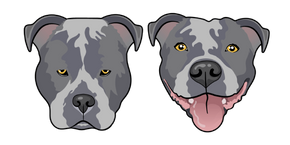 Blue Pitbull Dog