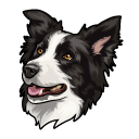 Border Collie Dog pointer