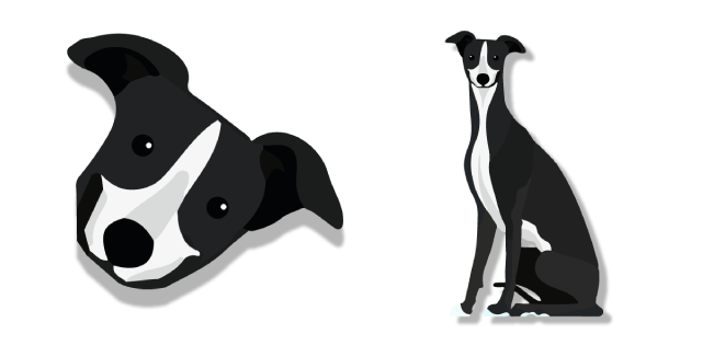 Borzoi Dog