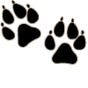 Boston Terrier Dog pointer