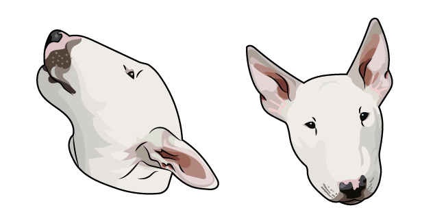 Bull Terrier Dog