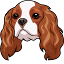 Cavalier King Charles Spaniel Dog cursor