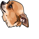 Chihuahua Dog pointer