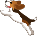 Cute Beagle Puppy pointer