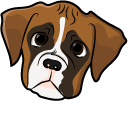 Cute Boxer Puppy pointer