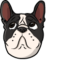 Cute French Bulldog Dog pointer