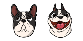 Cute French Bulldog Dog