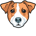 Cute Jack Russell Terrier Dog pointer