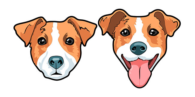 Cute Jack Russell Terrier Dog