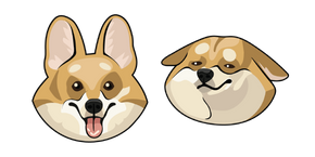 Cute Shiba Inu Dog