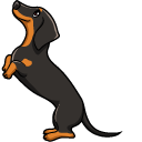 Dachshund Dog pointer