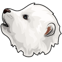 Dire Wolf Puppies pointer