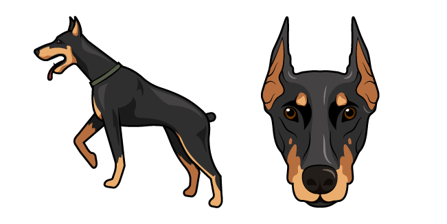 Doberman Dog