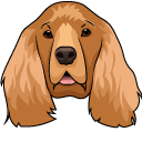 English Cocker Spaniel Dog cursor