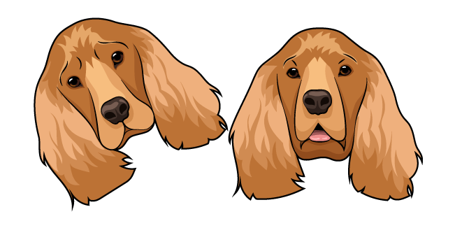 English Cocker Spaniel Dog