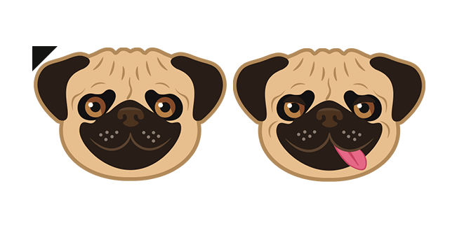 Funny Pug Dog