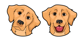 Golden Retriever Dog