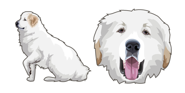 Great Pyrenees Dog