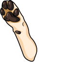 Labrador Retriever Dog pointer