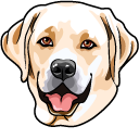 Labrador Retriever Dog cursor
