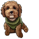 Maltipoo Dog pointer