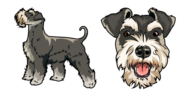 Schnauzer Dog
