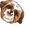 Shih Tzu Dog pointer