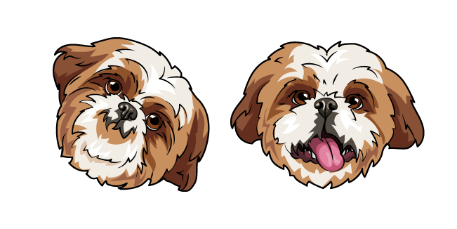 Shih Tzu Dog