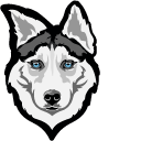 Siberian Husky Dog pointer