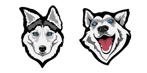 Siberian Husky Dog