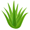 Aloe cursor