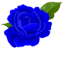Blue Roses cursor